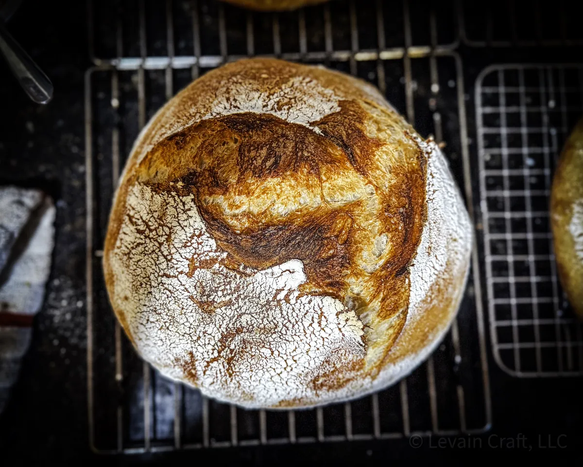 A naturally leavened country loaf, scored and baked deep brown
