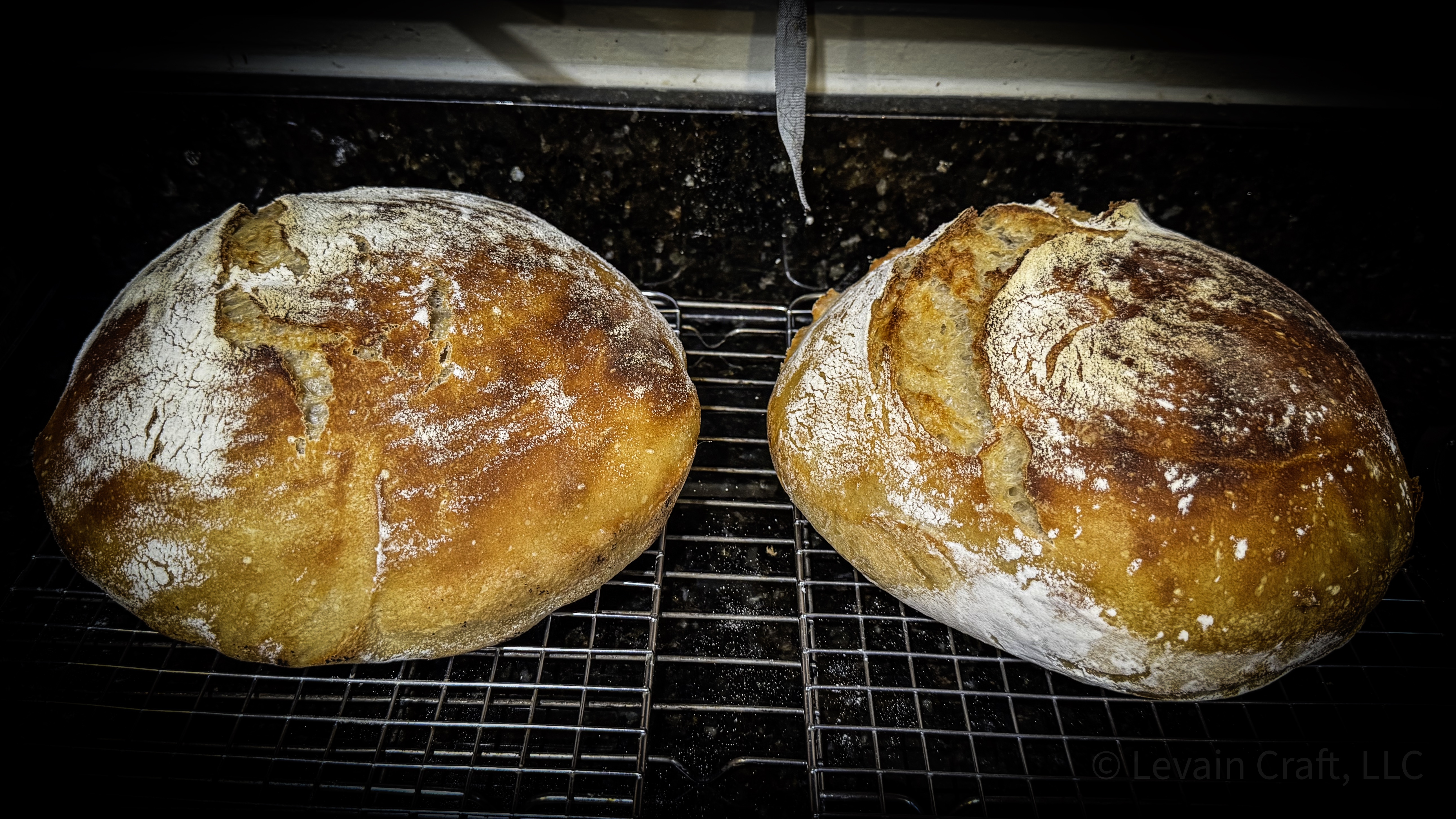 Assorted sourdough loaves